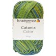 2x50 Gramm Schachenmayr Catania Color 206 Wiese Color