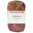 2x50 Gramm Schachenmayr Catania Color 209 India Color
