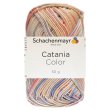 50 Gramm Schachenmayr Catania Color Wolle 218 Pastell Color