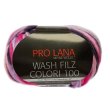 100 Gramm Pro Lana Wash Filz Colori 100 Filzwolle Color