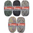 100 Gramm Twister Sox 4 Color Superwash