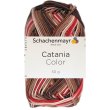 50 Gramm Schachenmayr Catania Color Wolle 236 Fudge Color