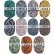 100 Gramm MyBoshi MySocks Merino Sockenwolle